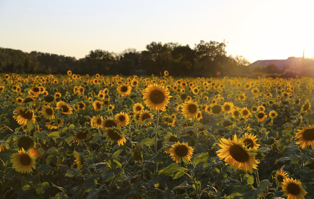 Slide Résidence Le Claux du Puits - Saint Trinit - Holidays in village of Porvence