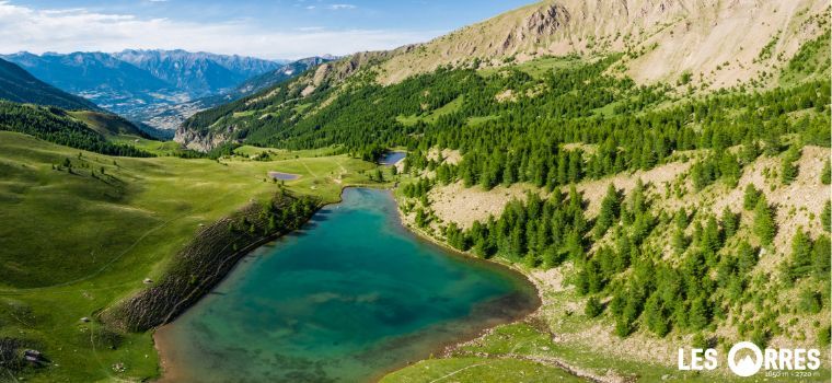 Appartement La Forêt d'Or 812 - Les Orres summer