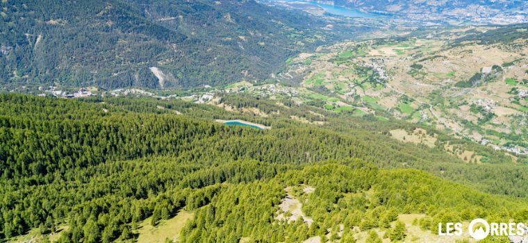 Appartement La Fôret d'Or 481 summer